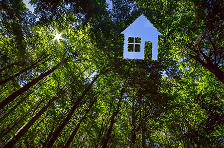 Image of house in trees