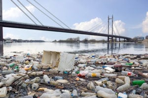photo of plastic pollution near shoreline