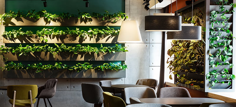 photo of modern office interior with a living green wall